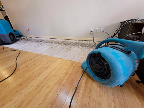 Professional Basement Flood Cleanup technician working in Log Lane Village, CO